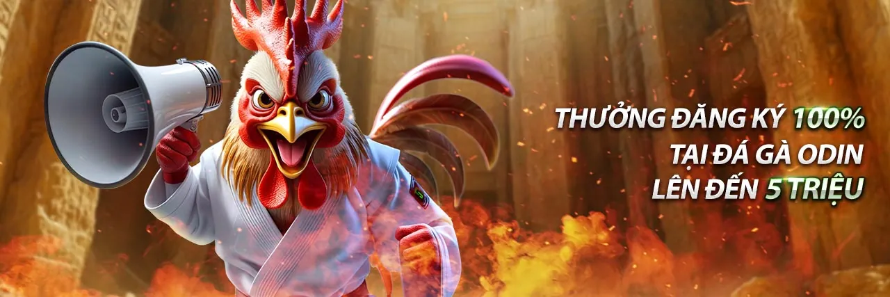 Khuyến mãi hàng ngày và hàng tuần 123b con