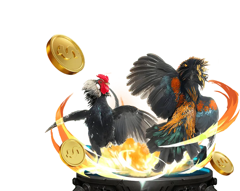 Cá Cược Thể Thao 123b con